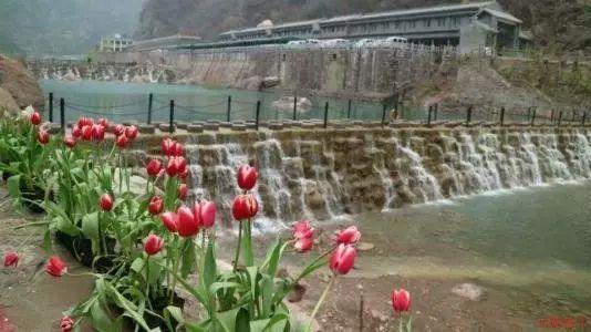 徐志摩认为妻子张幼仪很“土”，张君劢却认为，妹妹是最好的宝贝